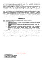 Konspekts 'Muskuļi', 6.