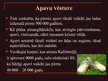 Prezentācija 'Apavi', 2.