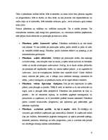 Referāts 'Speciālo pasākumu loma un to organizēšana', 6.