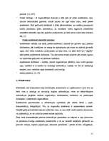 Referāts 'Speciālo pasākumu loma un to organizēšana', 11.