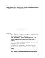 Referāts 'Speciālo pasākumu loma un to organizēšana', 20.