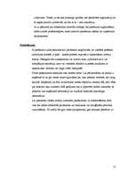 Referāts 'Speciālo pasākumu loma un to organizēšana', 21.