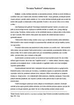 Referāts 'Kultūra socioloģijā', 4.