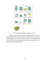 Konspekts 'Enzīmu izmantošana dzērienu ražošanā', 4.