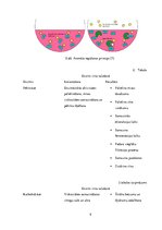 Konspekts 'Enzīmu izmantošana dzērienu ražošanā', 9.