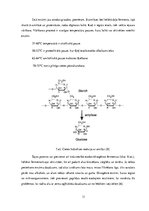 Konspekts 'Enzīmu izmantošana dzērienu ražošanā', 11.