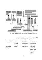 Konspekts 'Enzīmu izmantošana dzērienu ražošanā', 12.