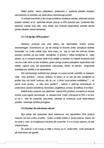 Referāts 'Biznesa procesi reinženieringā. Uzņēmums SIA "Mītavas logi"', 19.