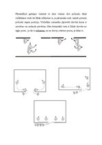 Paraugs 'Ēku pārmeklēšana', 8.