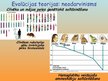 Prezentācija 'Čārlza Darvina evolūcijas teorija', 12.