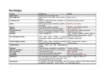 Konspekts 'Morfoloģijas pamati', 1.