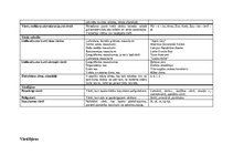 Konspekts 'Morfoloģijas pamati', 2.