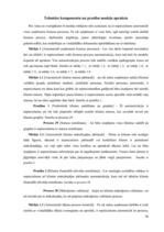 Referāts 'Jauna telekomunikāciju operatora uzņēmuma modeļa projektēšana', 26.