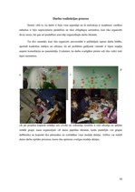 Referāts 'Jauna telekomunikāciju operatora uzņēmuma modeļa projektēšana', 33.