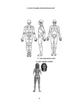 Referāts 'Akupunktūras izmantošana sāpju sindroma gadījumā', 36.