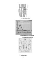 Referāts 'Akupunktūras izmantošana sāpju sindroma gadījumā', 37.