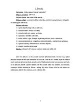 Referāts 'Krāsu pasaule - viss par krāsvielām', 1.