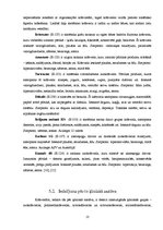 Referāts 'Krāsu pasaule - viss par krāsvielām', 7.