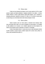 Referāts 'Krāsu pasaule - viss par krāsvielām', 13.