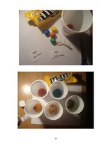 Referāts 'Krāsu pasaule - viss par krāsvielām', 21.