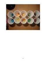 Referāts 'Krāsu pasaule - viss par krāsvielām', 22.