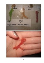 Referāts 'Krāsu pasaule - viss par krāsvielām', 25.