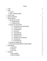 Referāts 'Krāsu pasaule - viss par krāsvielām', 27.