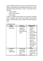 Konspekts 'Pirmsskolas bērnu veselības attīstīšana', 6.