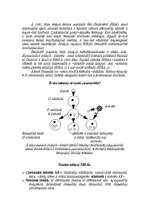 Referāts 'Болезни цивилизации', 25.