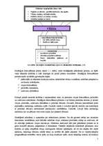 Referāts 'Iecavas sociāli ekonomiskās attīstības perspektīvas', 7.