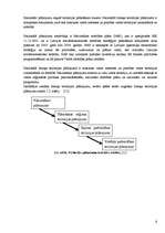 Referāts 'Iecavas sociāli ekonomiskās attīstības perspektīvas', 9.