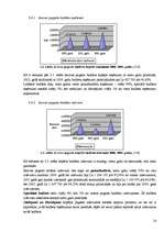 Referāts 'Iecavas sociāli ekonomiskās attīstības perspektīvas', 16.