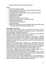 Referāts 'Iecavas sociāli ekonomiskās attīstības perspektīvas', 22.