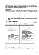 Referāts 'Iecavas sociāli ekonomiskās attīstības perspektīvas', 25.