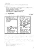 Referāts 'Iecavas sociāli ekonomiskās attīstības perspektīvas', 26.