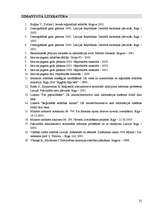 Referāts 'Iecavas sociāli ekonomiskās attīstības perspektīvas', 32.