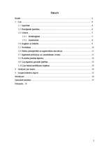 Referāts 'Lini', 2.