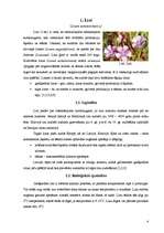 Referāts 'Lini', 4.