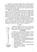 Referāts 'Lini', 5.