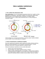 Konspekts 'Gāzu sadales mehānisms', 1.