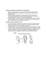 Konspekts 'Gāzu sadales mehānisms', 4.