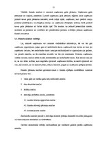 Diplomdarbs 'VAS "Latvijas dzelzceļš" darbības analīze', 12.