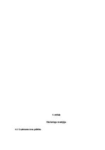 Biznesa plāns 'SIA "Cīnītājs"', 11.