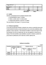 Biznesa plāns 'SIA "Cīnītājs"', 14.