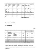 Biznesa plāns 'SIA "Cīnītājs"', 18.