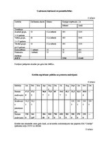 Biznesa plāns 'SIA "Cīnītājs"', 24.