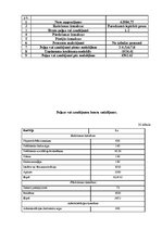 Biznesa plāns 'SIA "Cīnītājs"', 26.