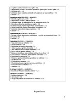 Referāts 'Izīrēšanai paredzēta dzīvokļa remonta projekts', 19.