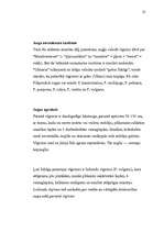 Konspekts 'Ārstnieciskie augi mūsu ģimenei', 22.