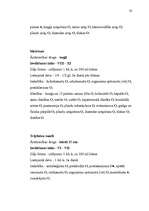 Konspekts 'Ārstnieciskie augi mūsu ģimenei', 33.